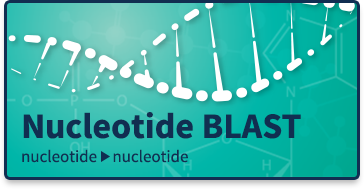 Nucleotide query->Nucleotide database